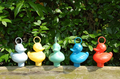 Fishing Ducks Box - ECO