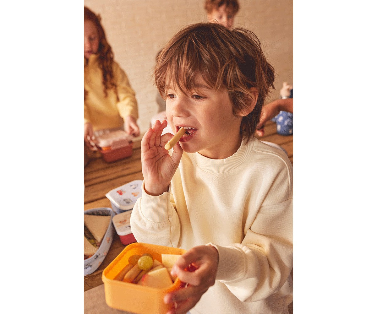 3 lustige Brotdosen mit Alphabet-Buchstaben