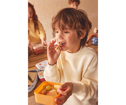 3 Boîtes à Déjeuner Forêt Magique