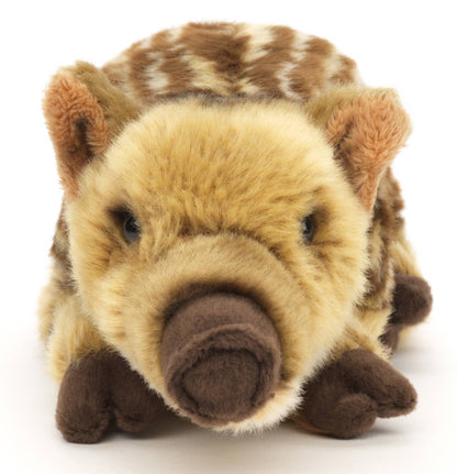 Plüschtier eines schlafenden Wildschweins
