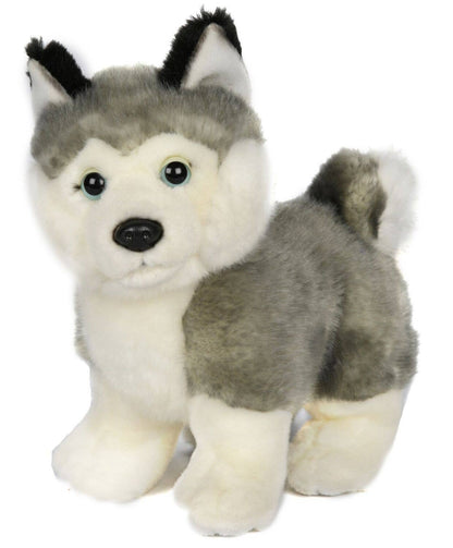 Graues Husky-Welpen-Plüschtier, stehend