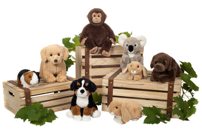 Plüschtier eines sitzenden Berner Sennenhundes