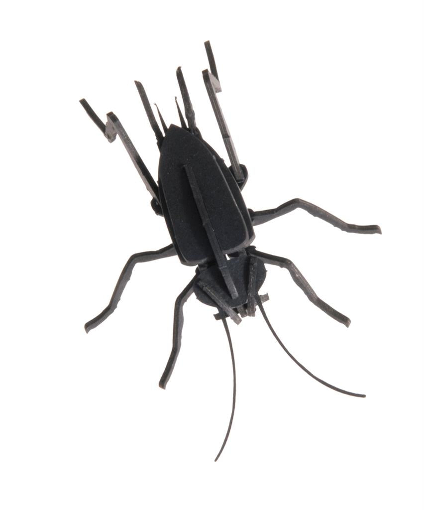 3D Paper Model - Cricket