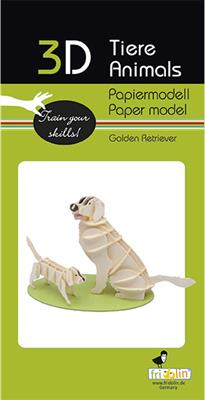 Modèle En Papier 3D - Golden Retriever