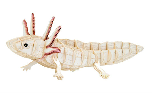 3D-Papiermodell - Axolotl