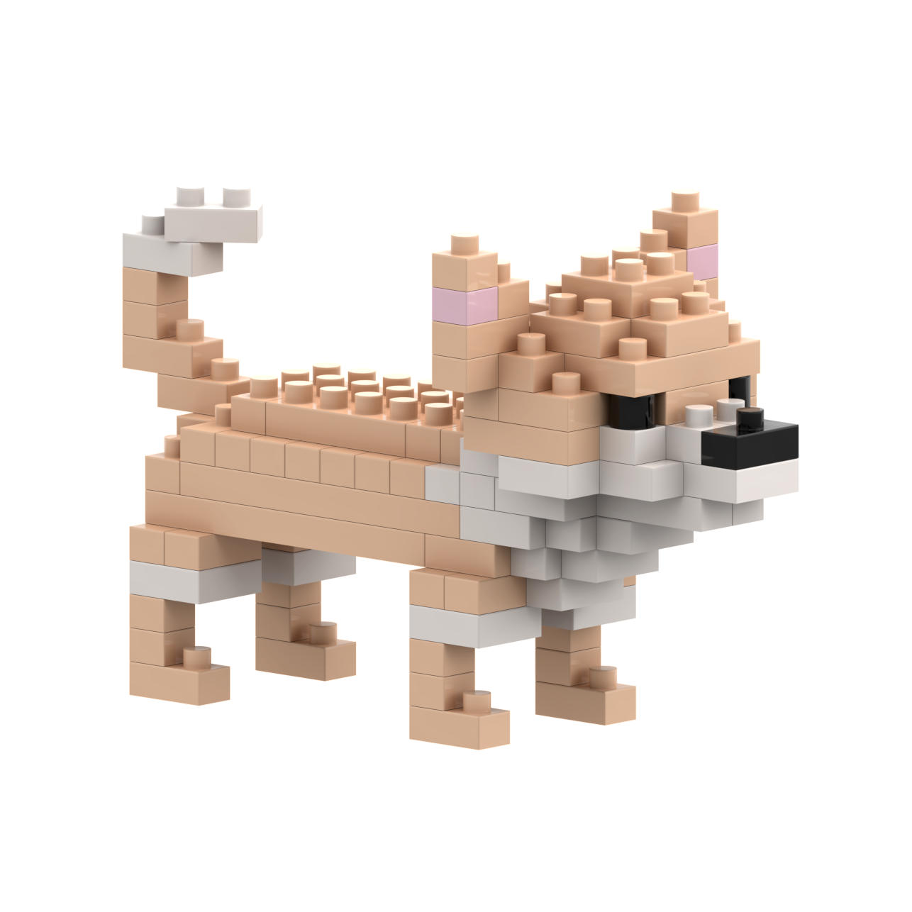 BRIXIES Chihuahua