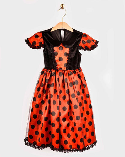 Ladybug Dress W. Acc. 110-116 Size 4-6 years