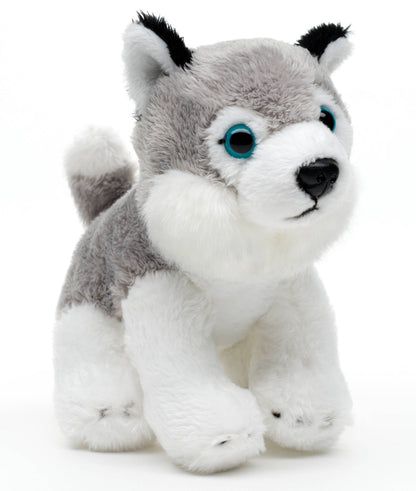 Sitting Husky Plush Toy