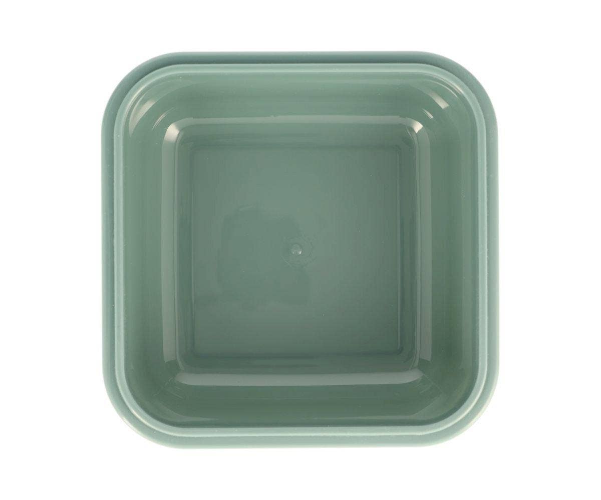 Grande Boîte à Déjeuner Monde des Dinosaures