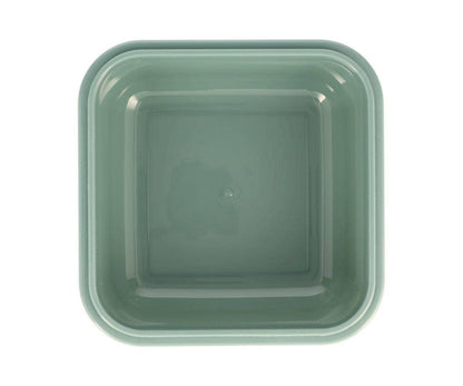 Grande Boîte à Déjeuner Monde des Dinosaures