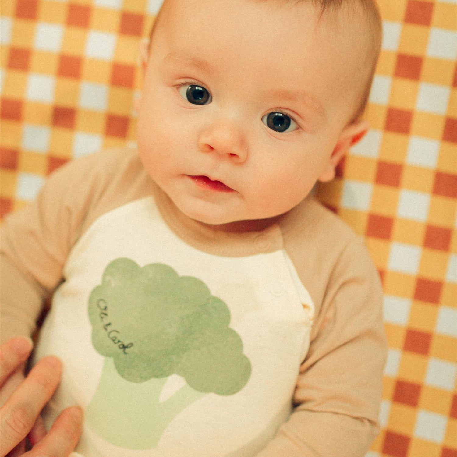 Brucy le Brocoli – Body bébé – vue produit 3