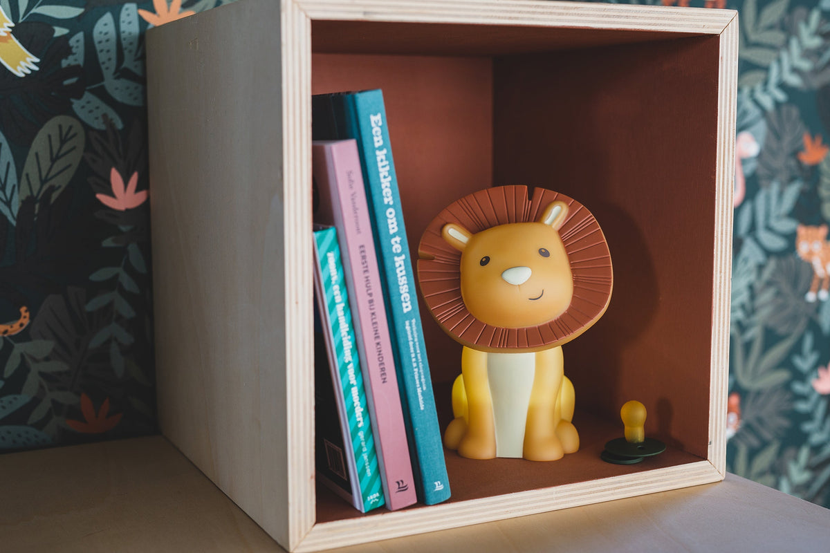 Hakuna rechargeable night light