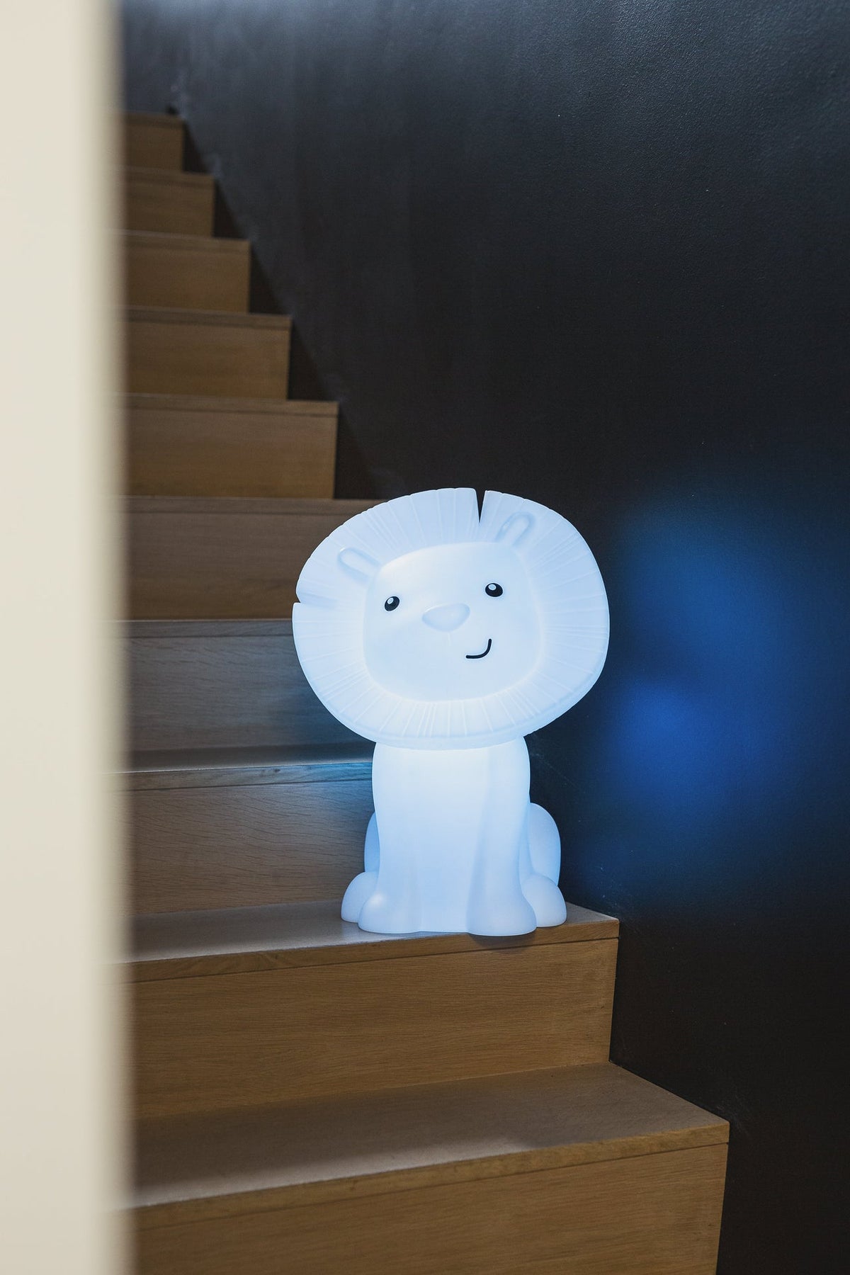 Hakuna lamp Rechargeable bluetooth atmosphere