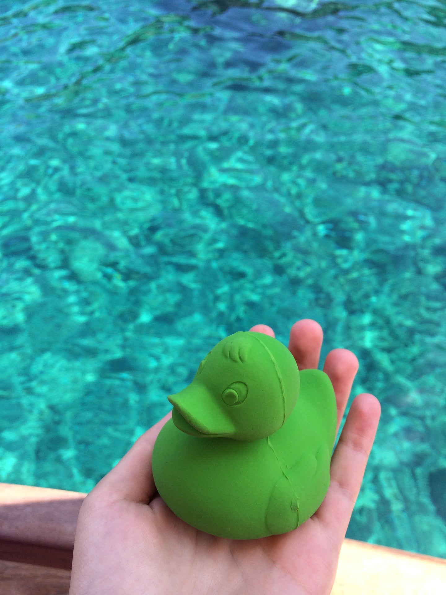 Elvis le Canard Vert – Jouet de bain et dentition bébé – vue produit 7