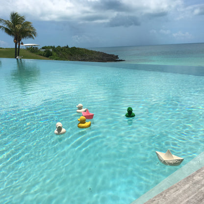Elvis le Canard Vert – Jouet de bain et dentition bébé – vue produit 11