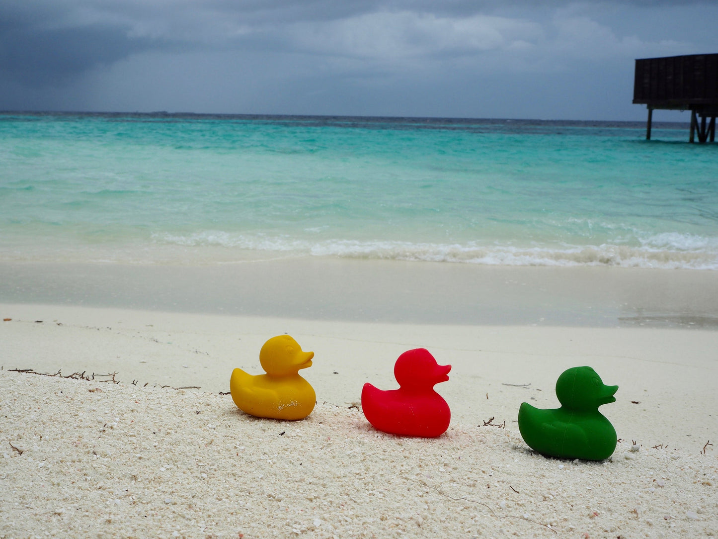 Elvis le Canard Vert – Jouet de bain et dentition bébé – vue produit 26
