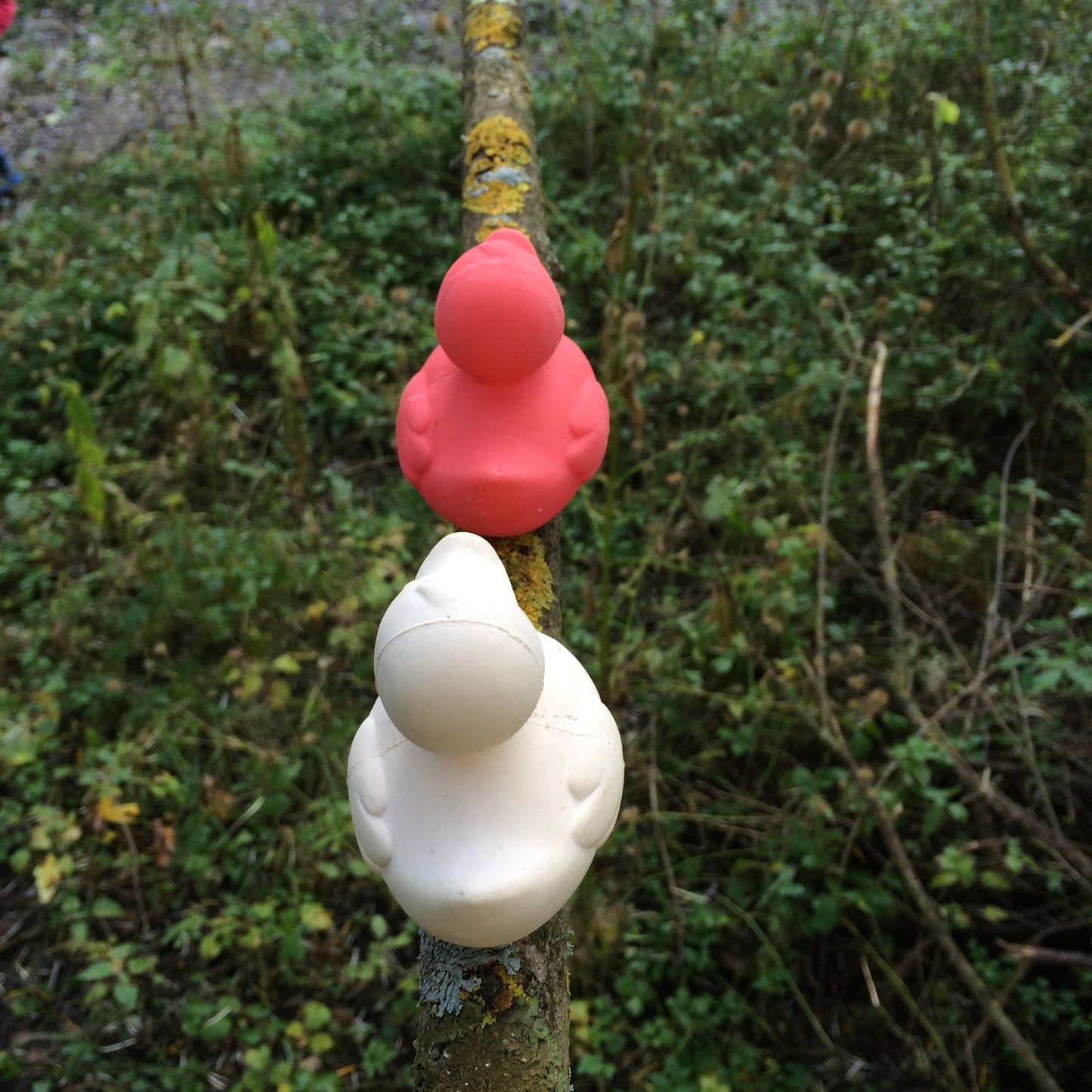 Produit Elvis Le Canard Rose Cadeau Geek