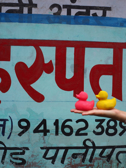 Produit Elvis Le Canard Rose Déco