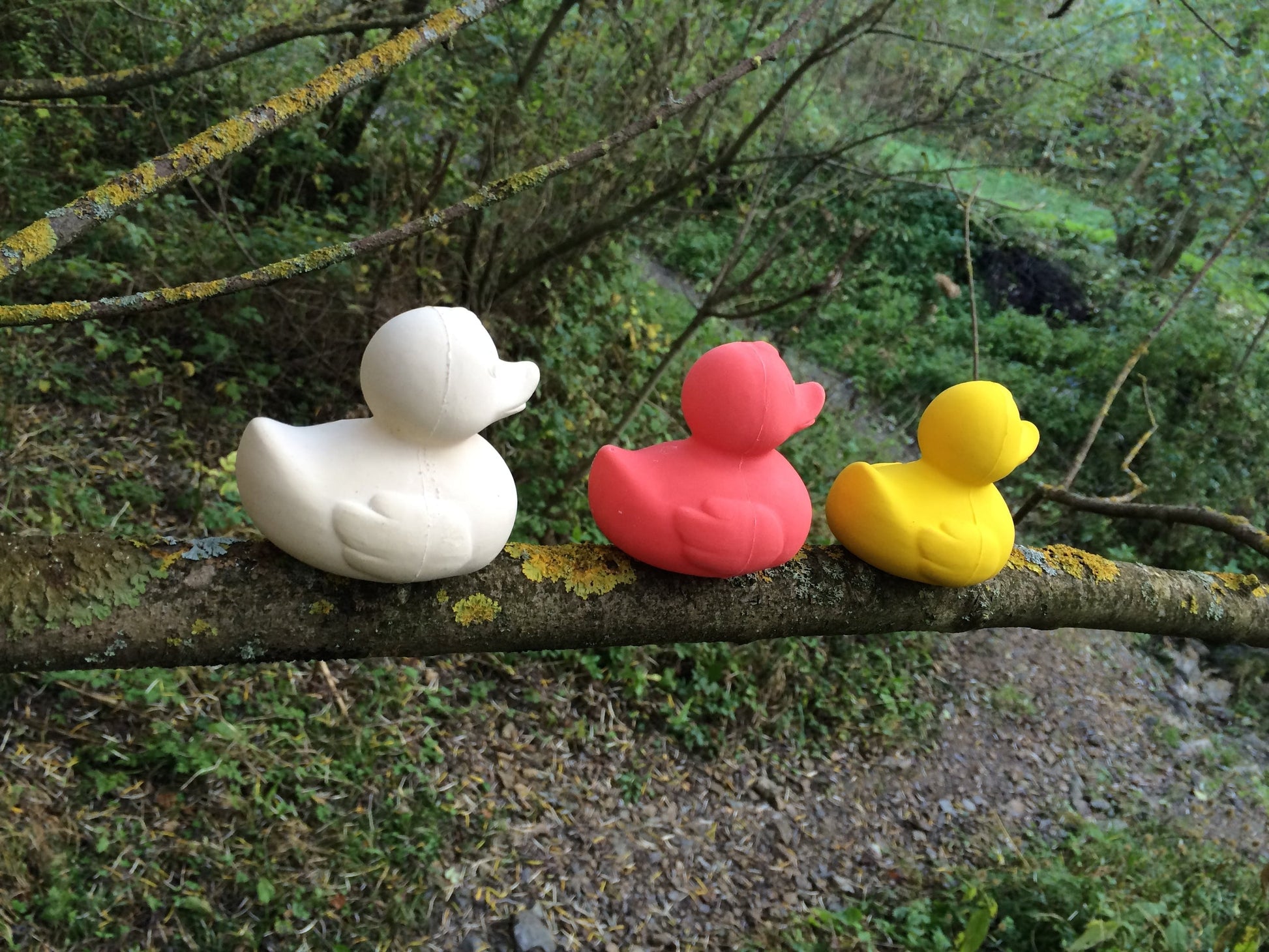 Produit Elvis Le Canard Blanc Enfant