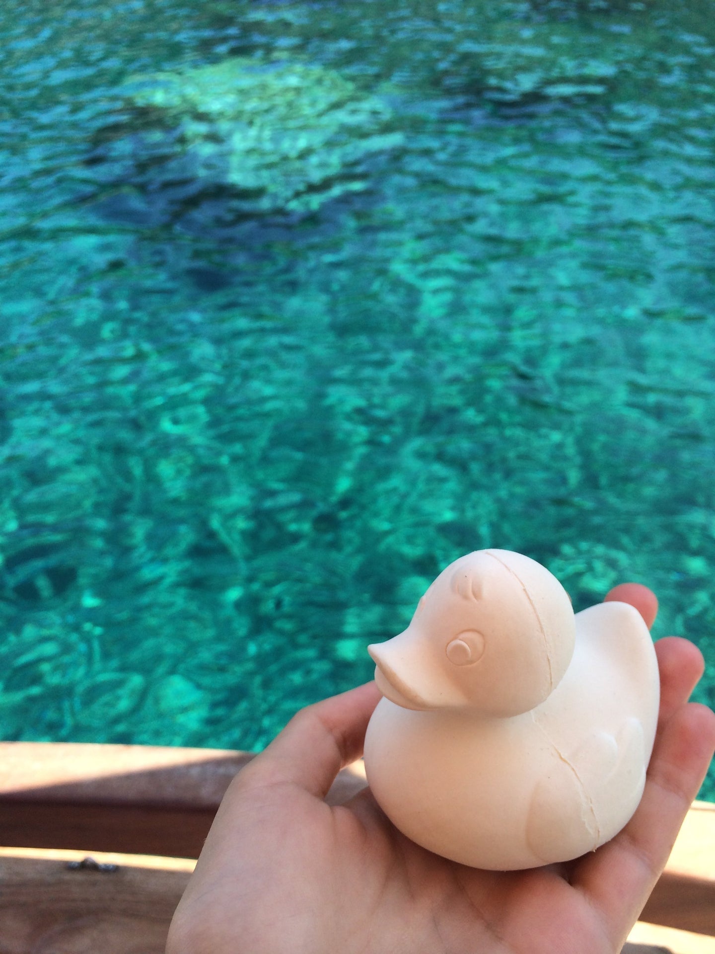 Produit Elvis Le Canard Blanc Poster Déco