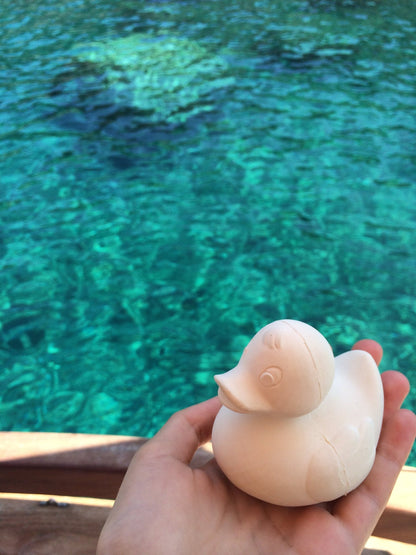 Produit Elvis Le Canard Blanc Poster Déco