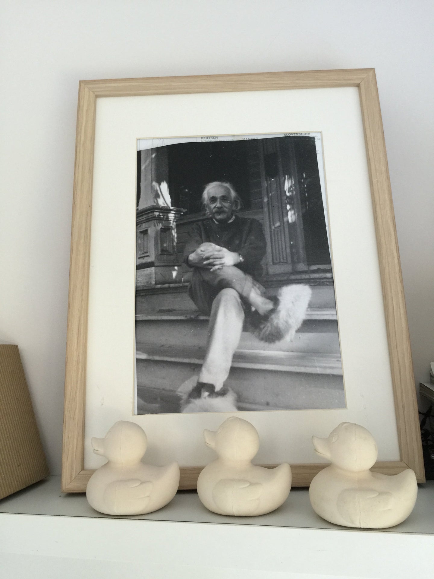 Produit Elvis Le Canard Blanc Accessoire