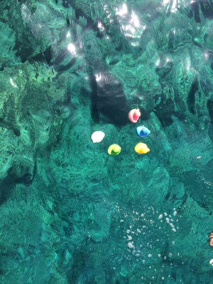 Produit Elvis Le Canard Jaune Maison