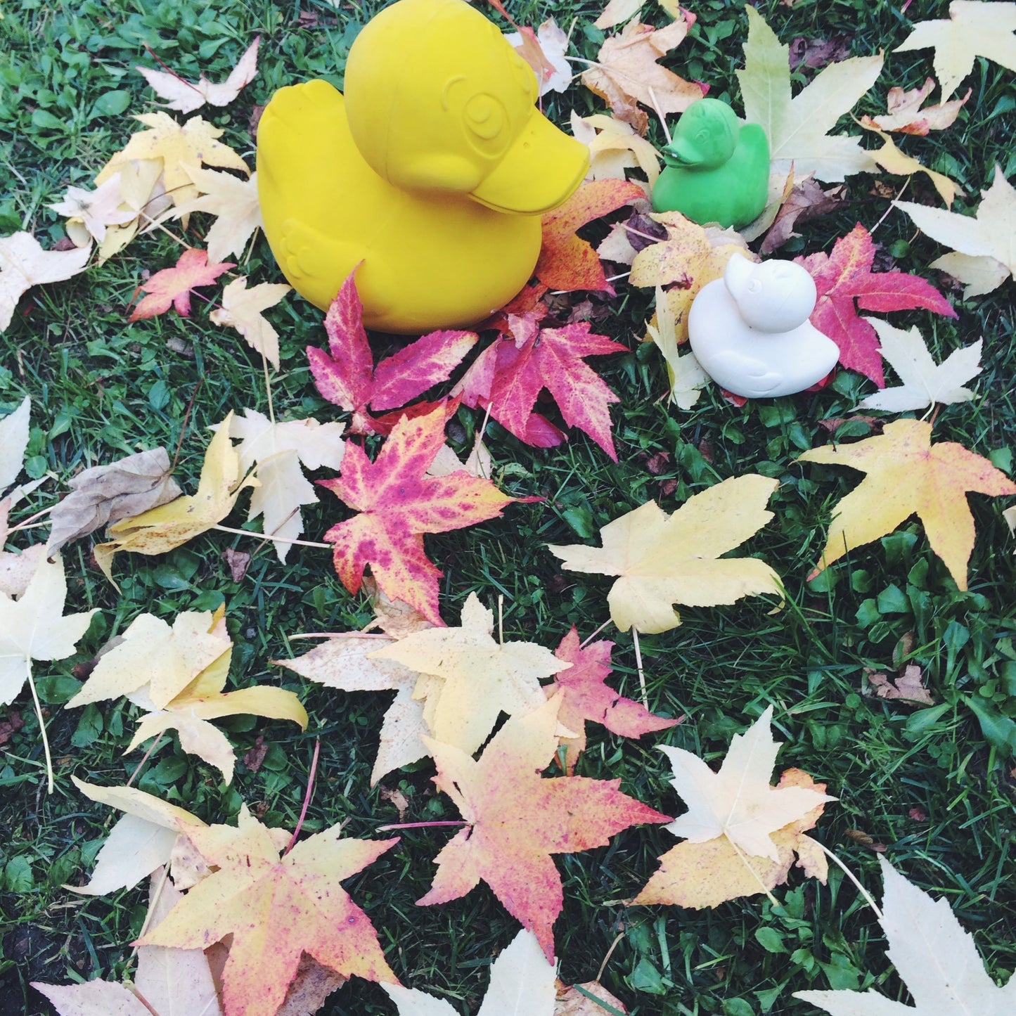 Elvis le Canard Jaune