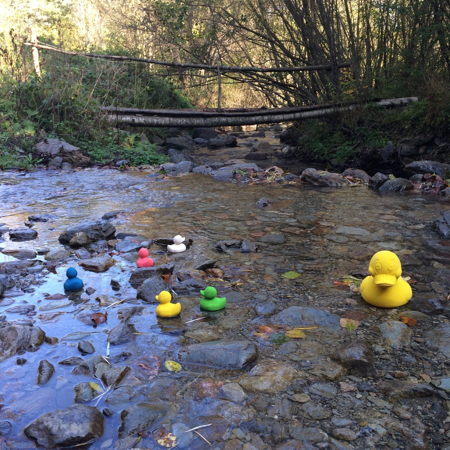 Elvis le Canard Jaune