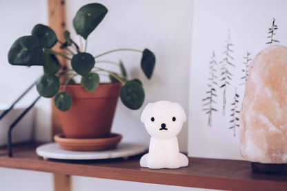Miffy &amp; Friends Mini-Nachtlicht-Set