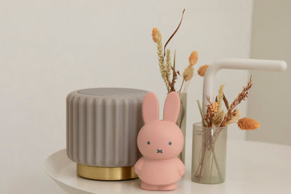 Miffy Rabbit Money Box Warm Edition S
