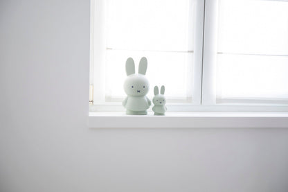 Miffy Rabbit Money Box Warm Edition S