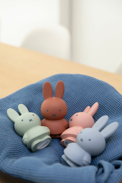 Miffy Rabbit Money Box Warm Edition S