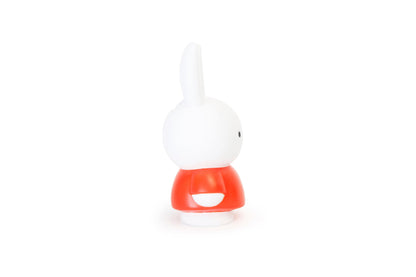 Miffy Rabbit Money Box M