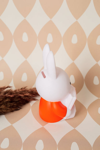 Miffy Rabbit Spardosenbuch