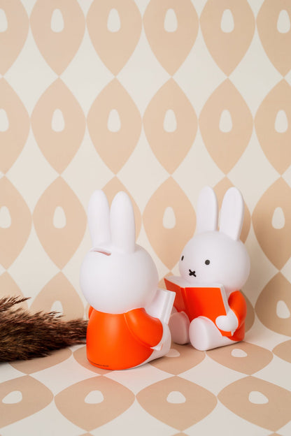 Miffy Rabbit Spardosenbuch