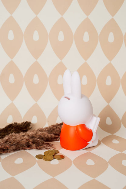 Miffy Rabbit Spardosenbuch