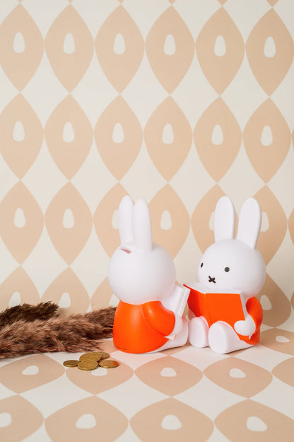 Miffy Rabbit Spardosenbuch