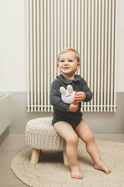 Miffy Rabbit Spardosenbuch