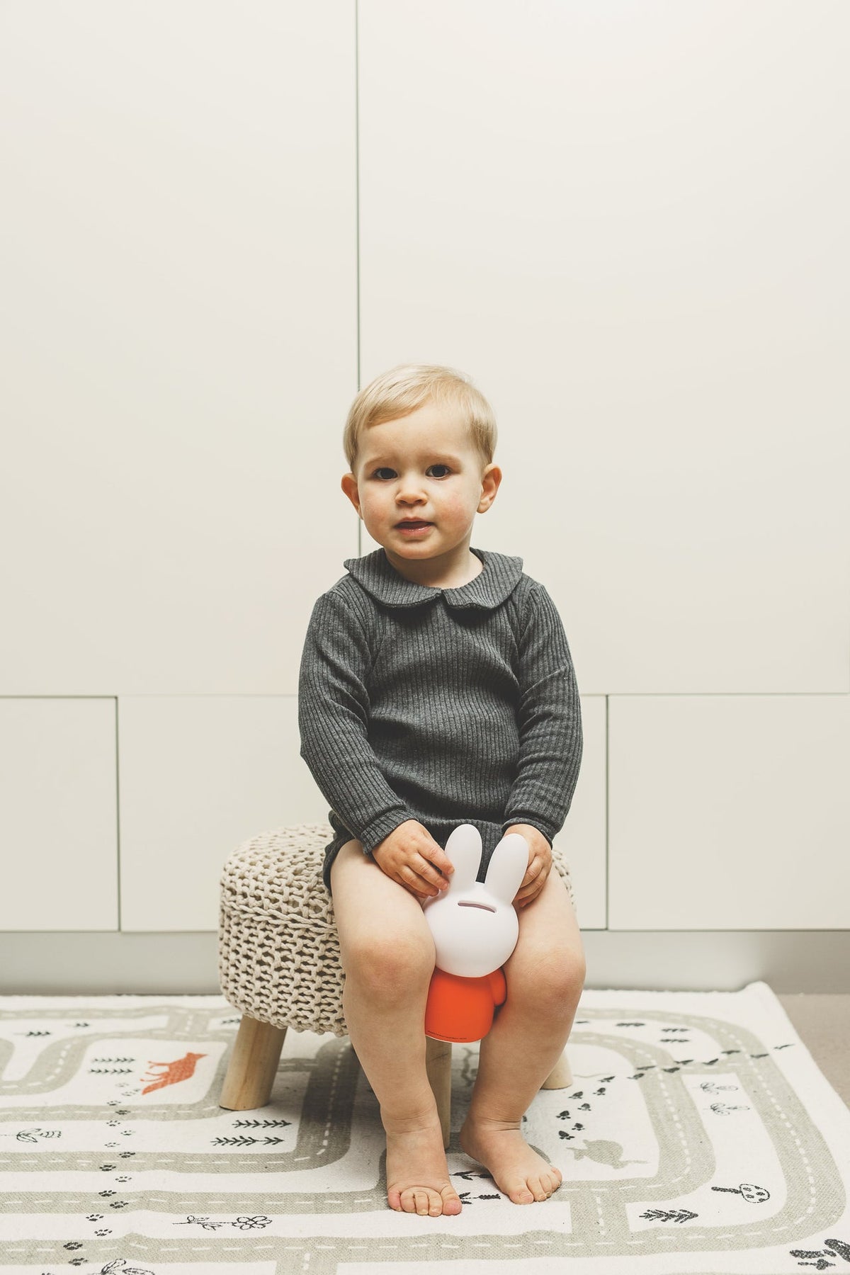Miffy Rabbit Spardosenbuch