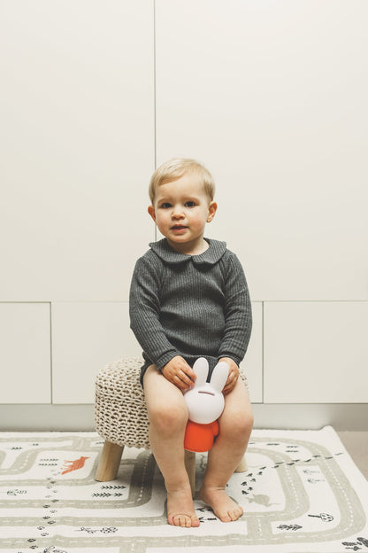 Miffy Rabbit Spardosenbuch