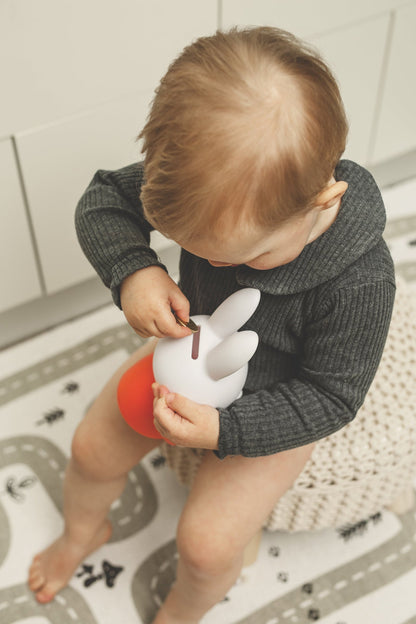 Miffy Rabbit Spardosenbuch
