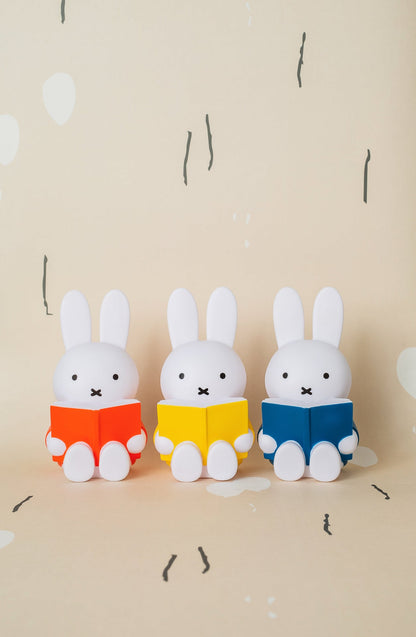 Tirelire Miffy Livre Atelier Pierre Junior