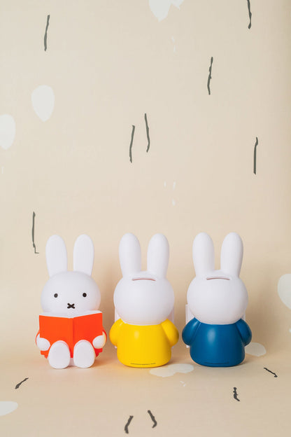 Miffy Rabbit Spardosenbuch
