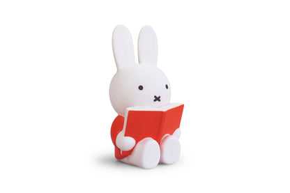 Miffy Rabbit Spardosenbuch