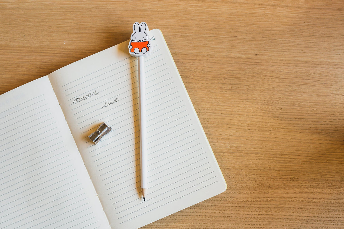 Miffy Rabbit Crayons Book 3-Pack