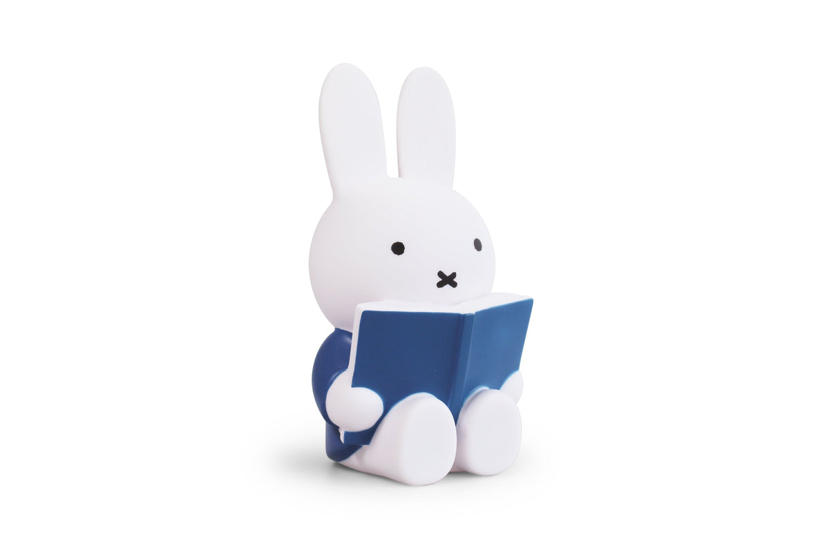 Miffy Rabbit Spardosenbuch