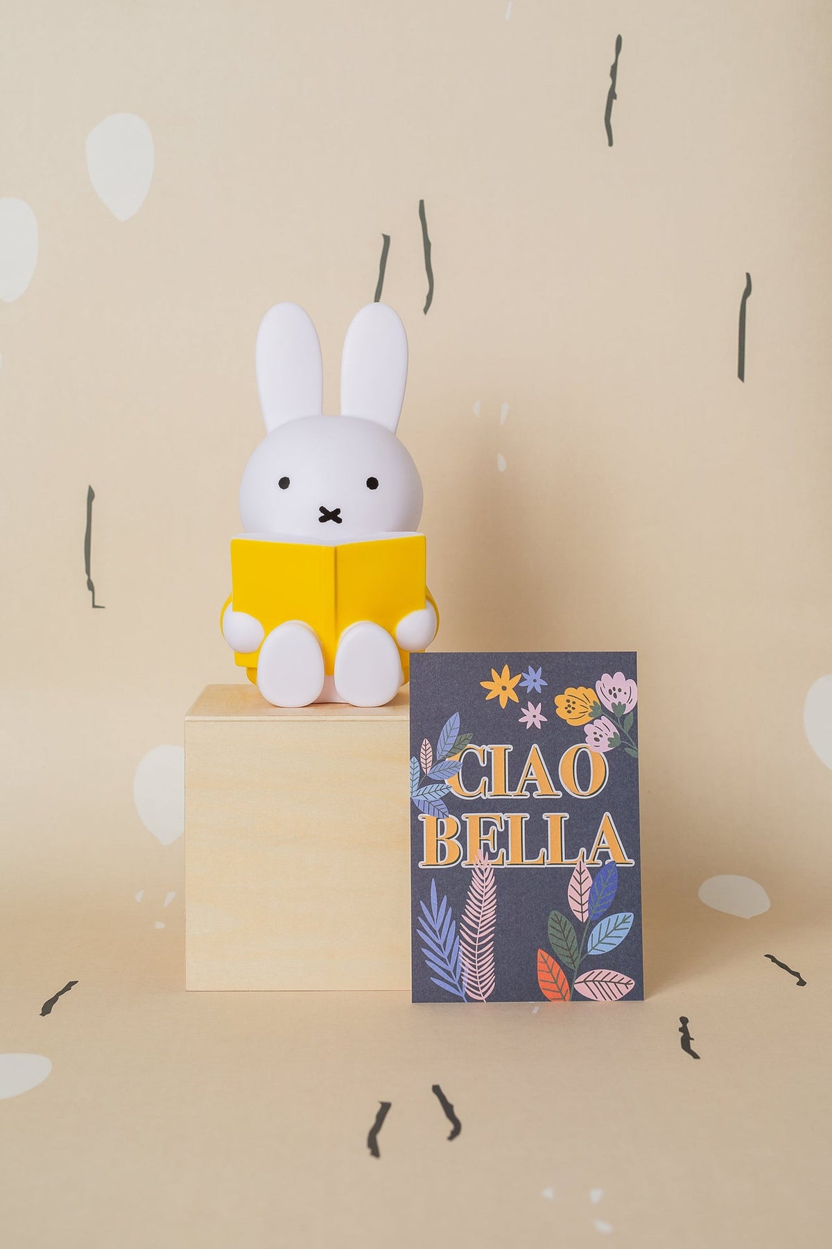 Miffy Rabbit Spardosenbuch