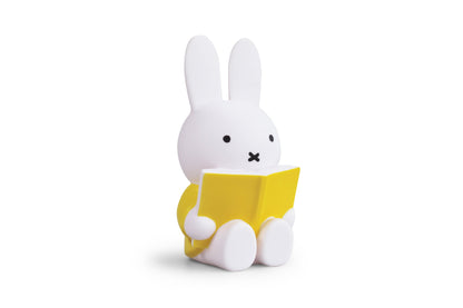 Miffy Rabbit Spardosenbuch