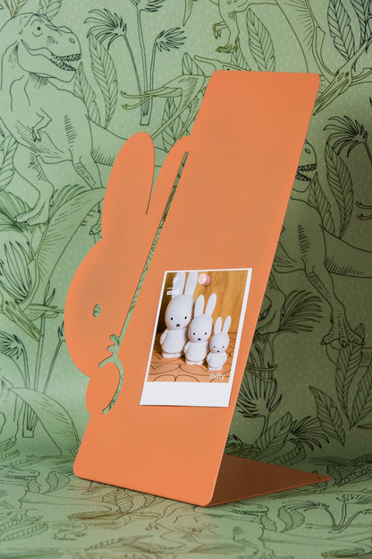 Tableau Magnétique Lapin Miffy - Peek a Boo